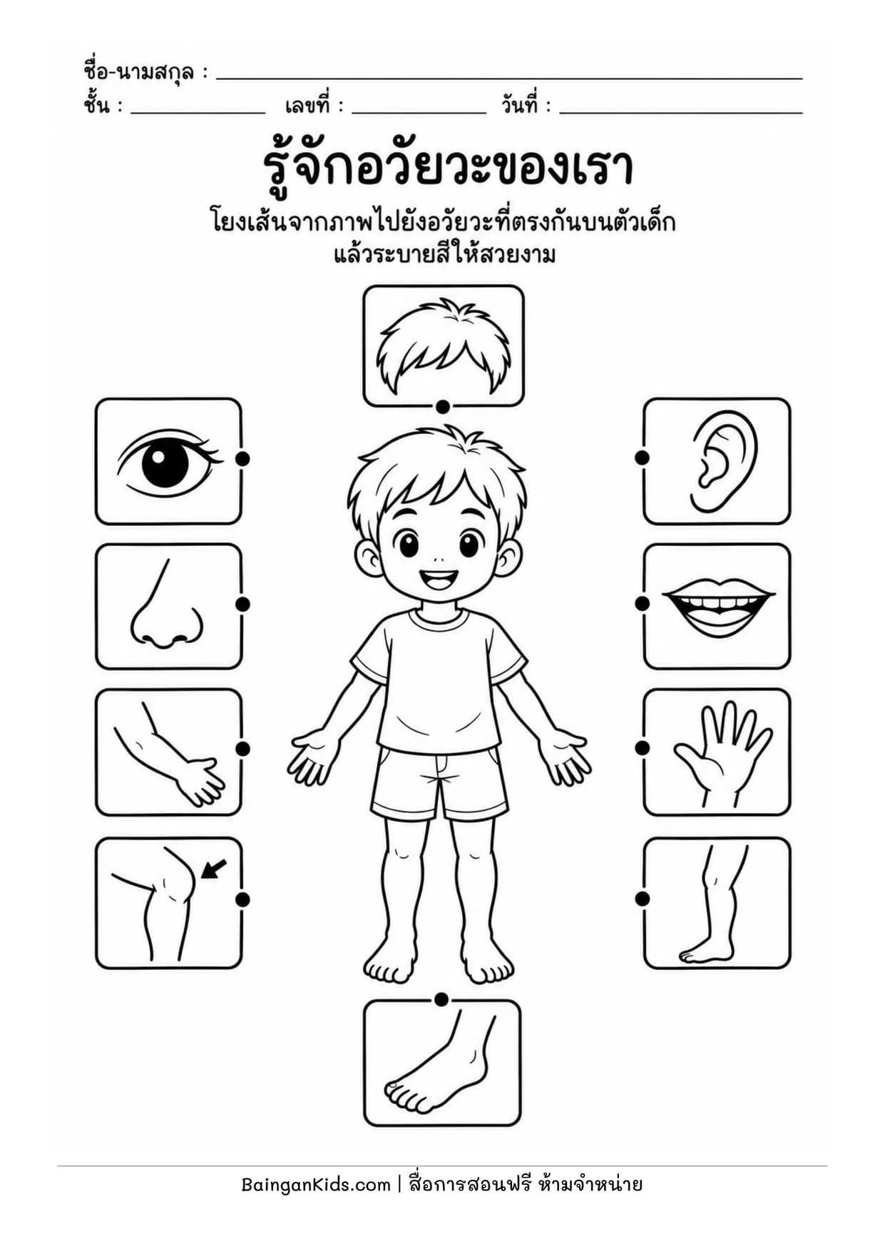 รู้จักอวัยวะของเรา โยงเส้นจับคู่และระบายสี (Body Parts Matching) ตัวอย่างหน้าที่ 1