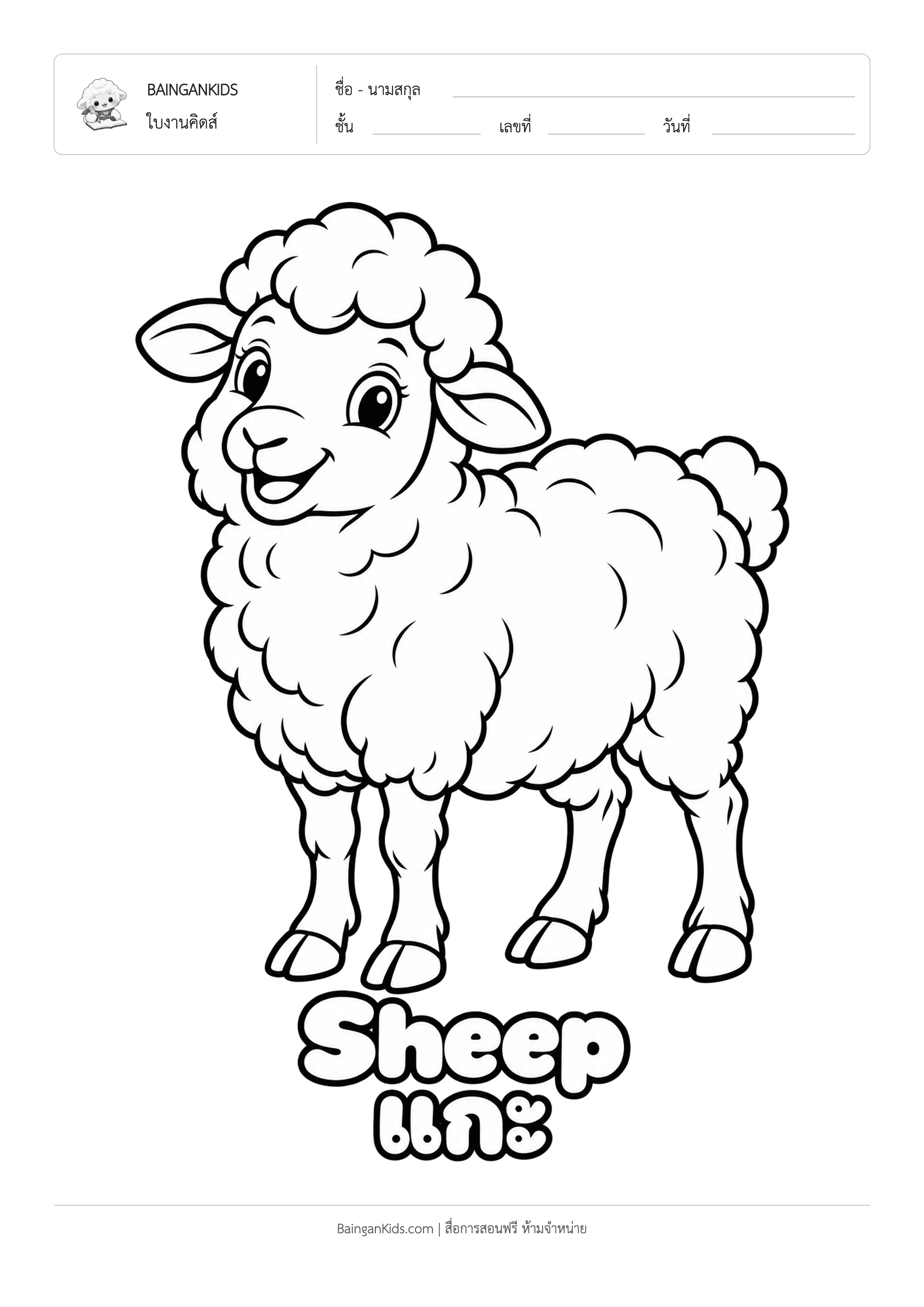 ปก ระบายสี แกะ (Sheep)