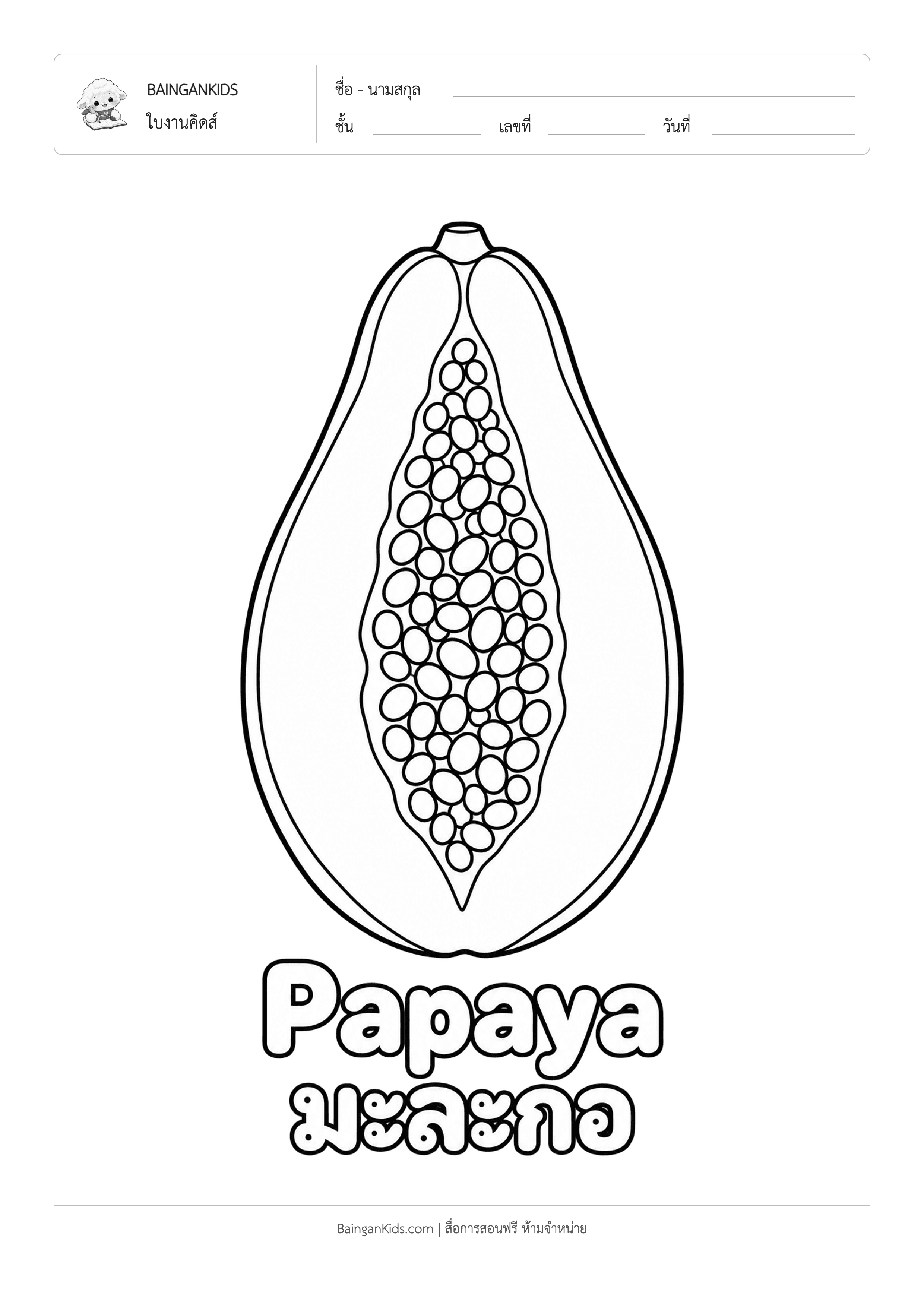 ปก ระบายสี มะละกอ