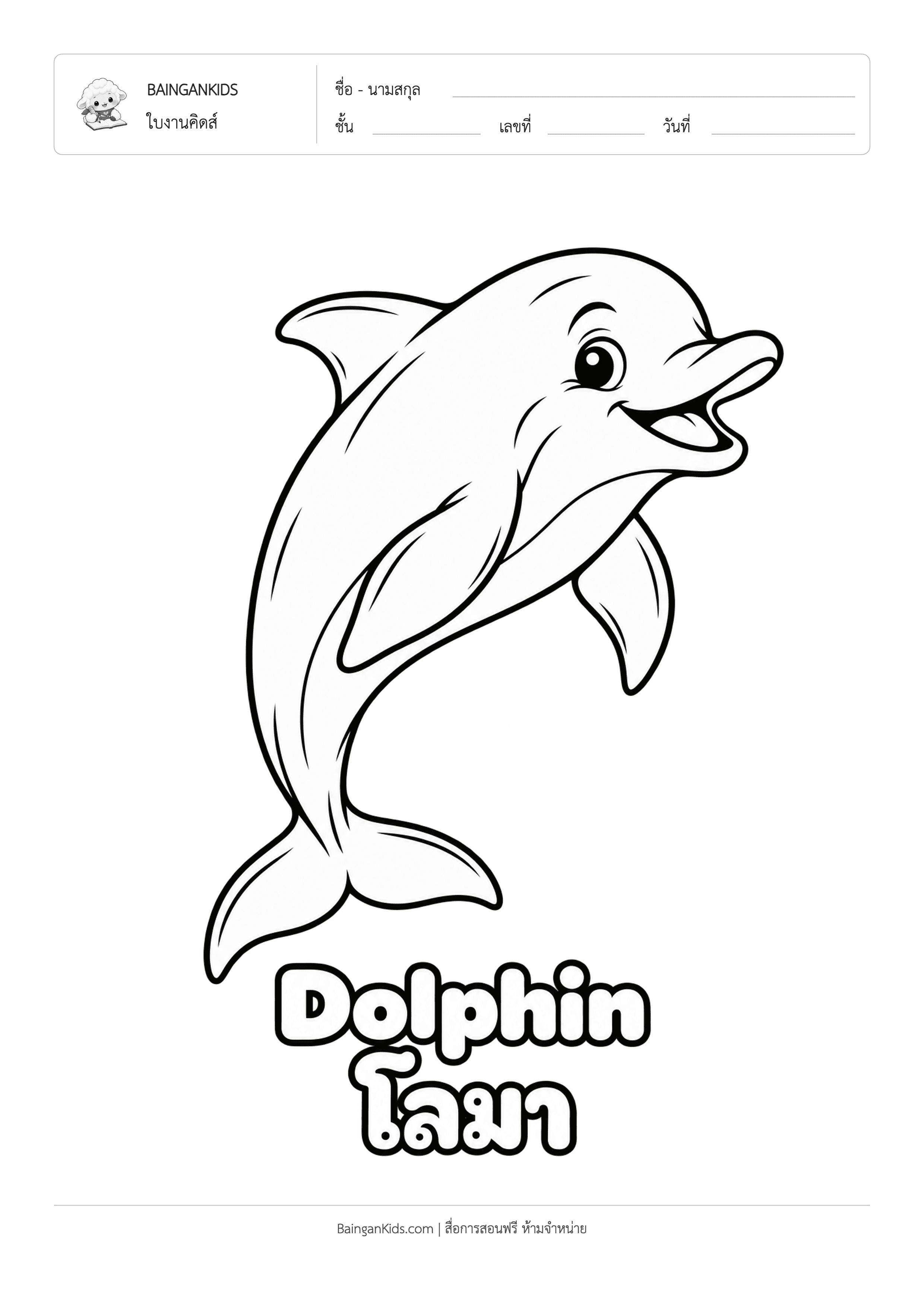 ปก ระบายสี โลมา (Dolphin)