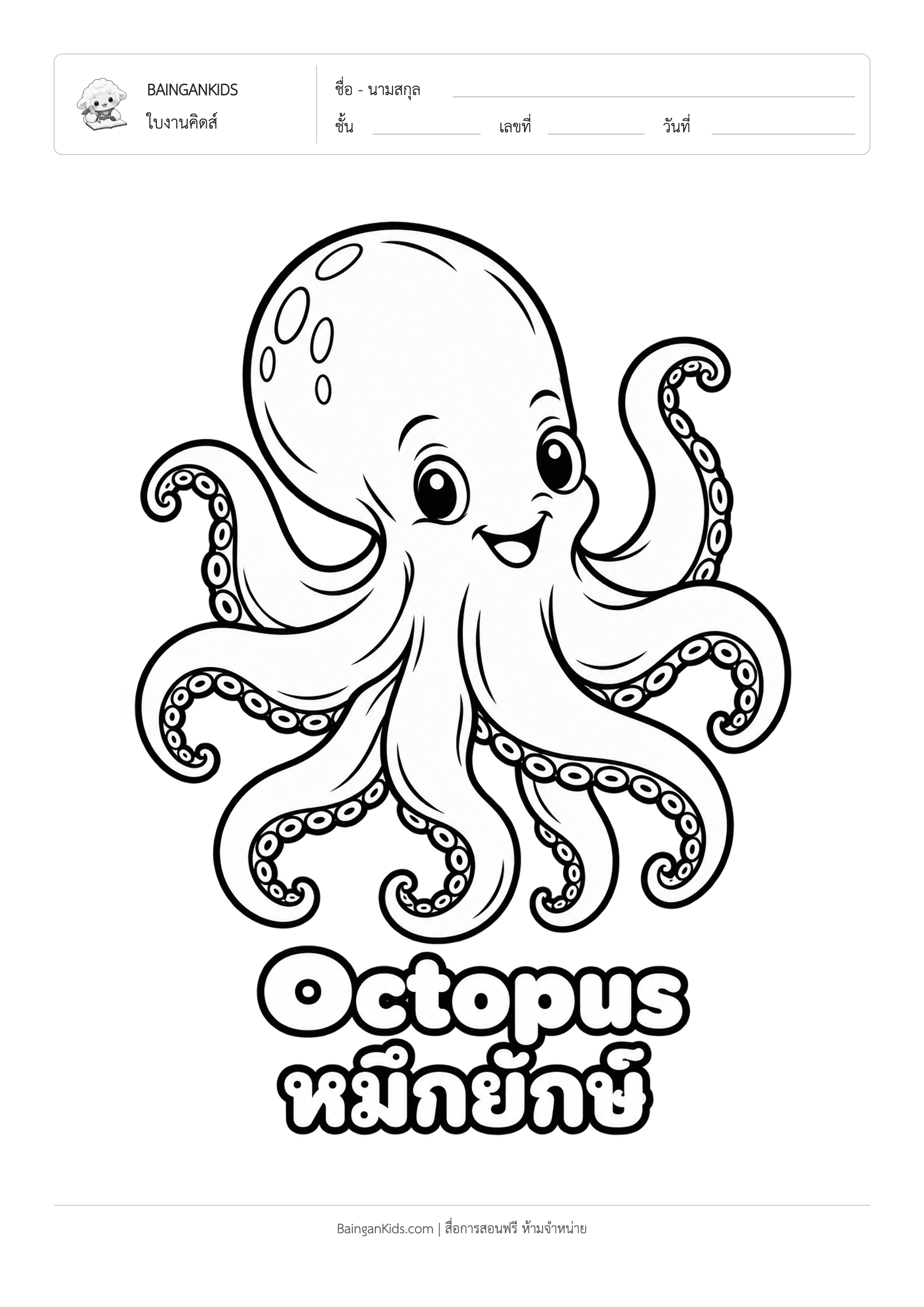 ปก ระบายสี ปลาหมึก (Octopus)