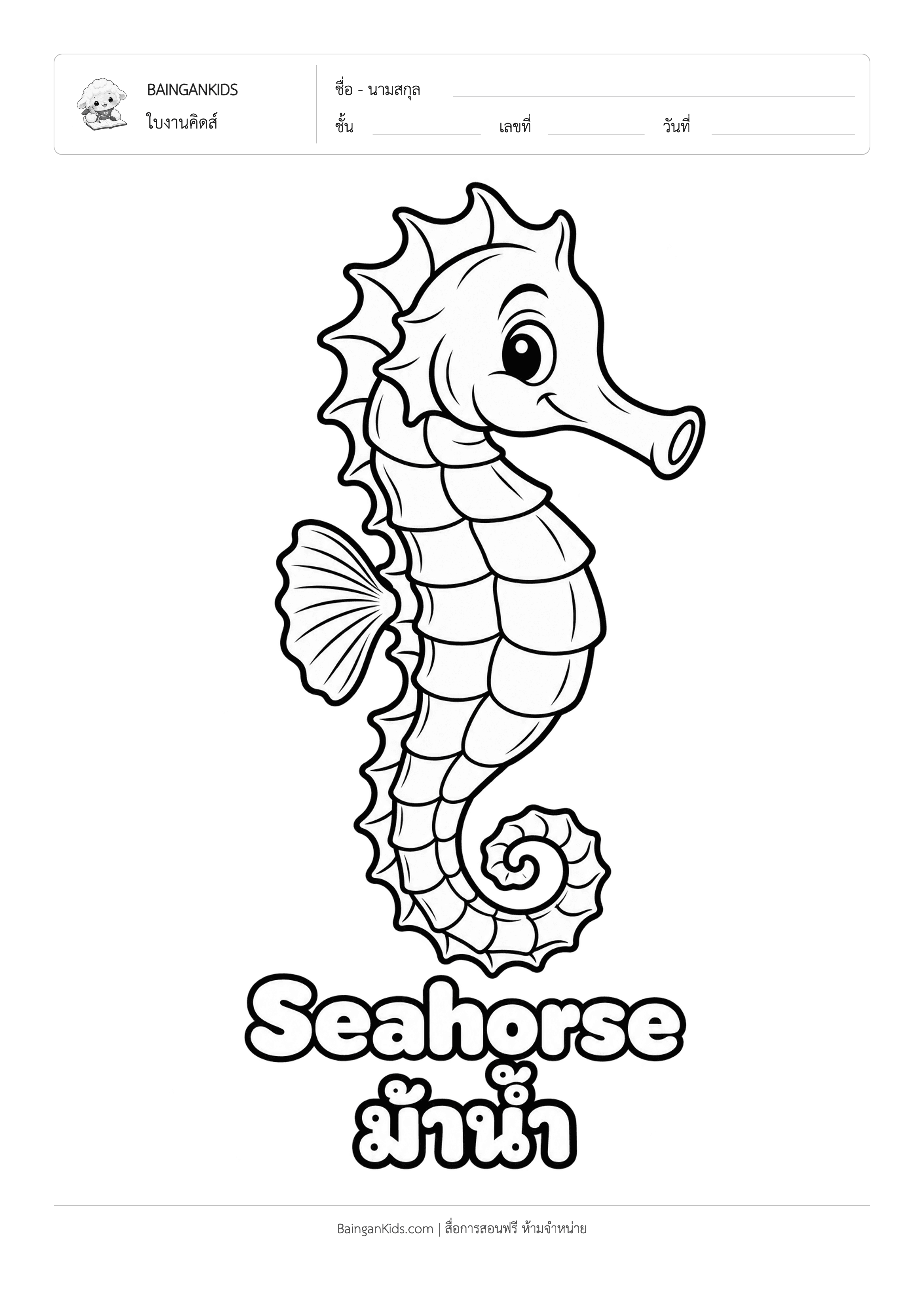 ปก ระบายสี ม้าน้ำ (Seahorse)