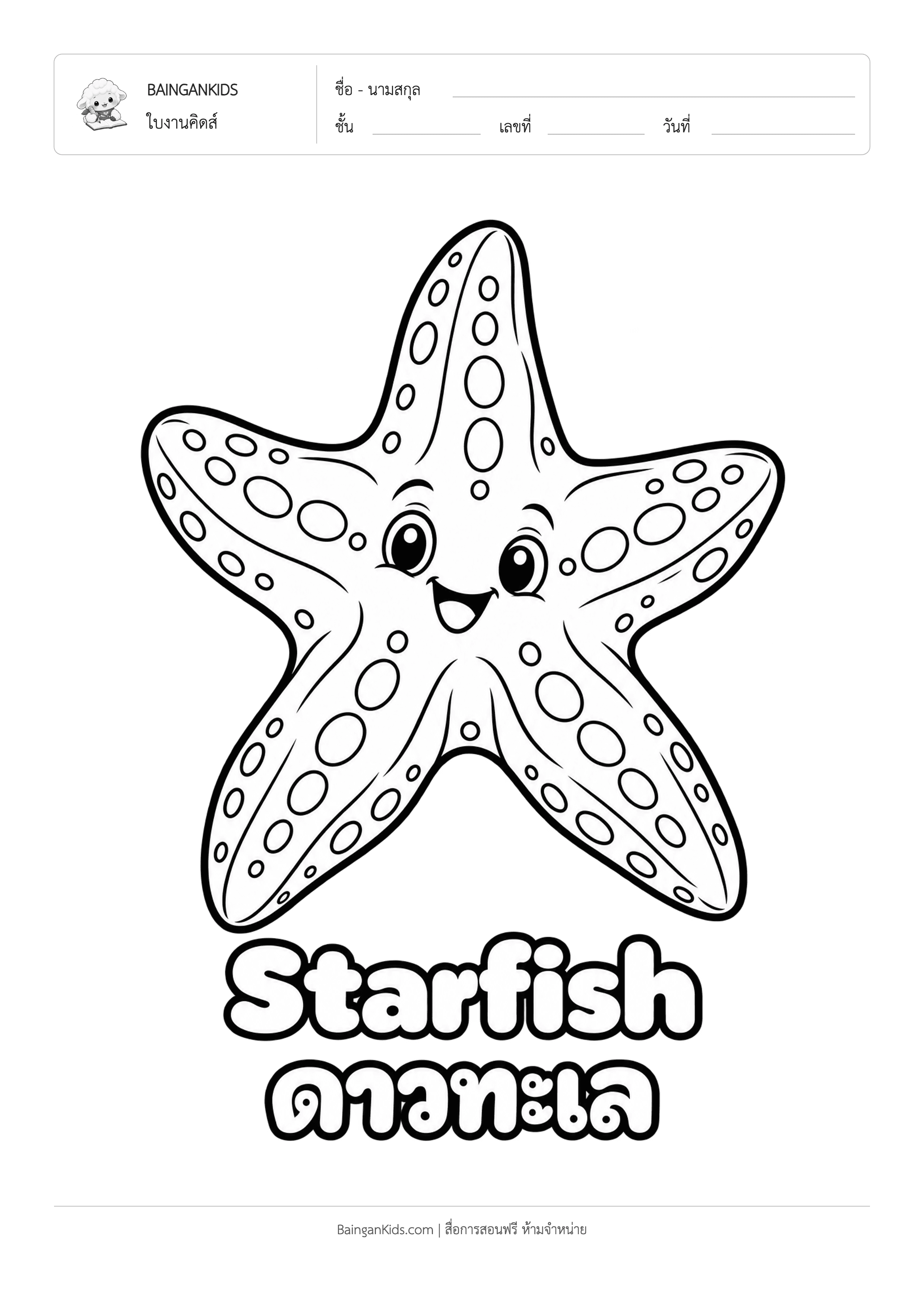 ปก ระบายสี ดาวทะเล (Starfish)