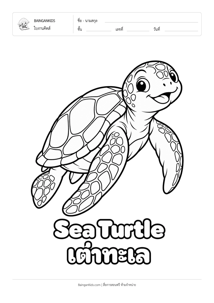 ระบายสี เต่าทะเล (Sea Turtle) ตัวอย่างหน้าที่ 1