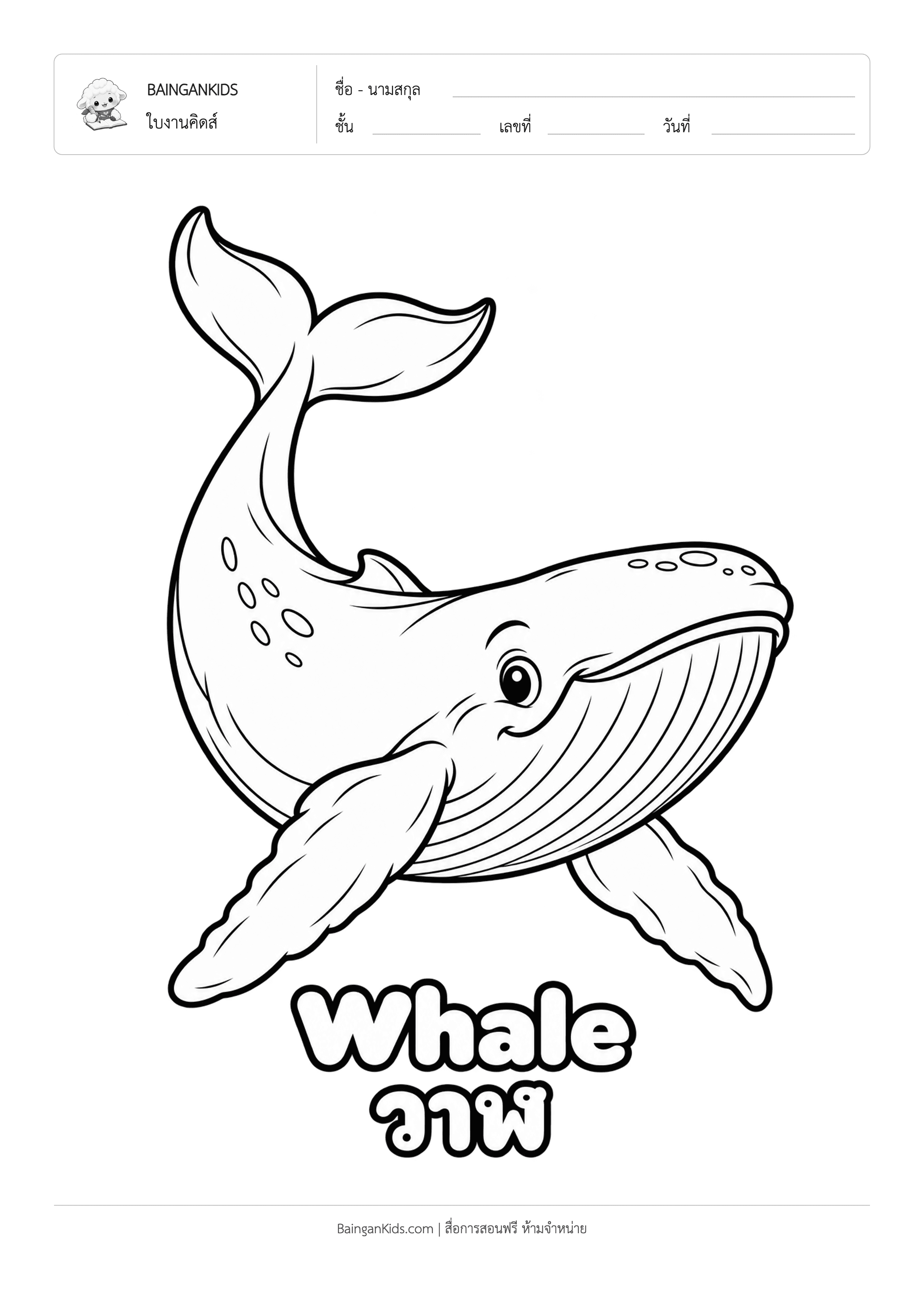 ปก ระบายสี วาฬ (Whale)