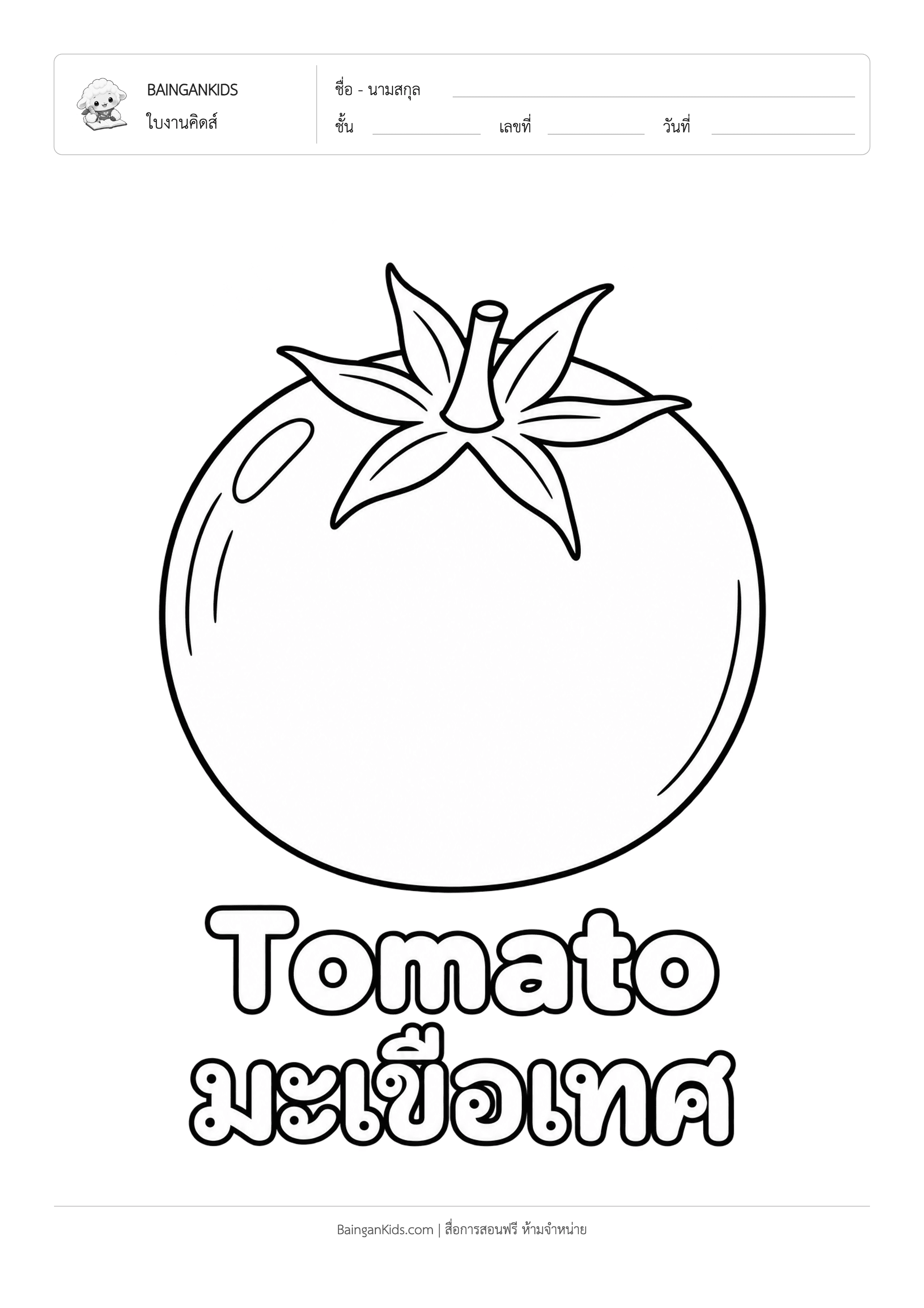 ปก ระบายสี มะเขือเทศ