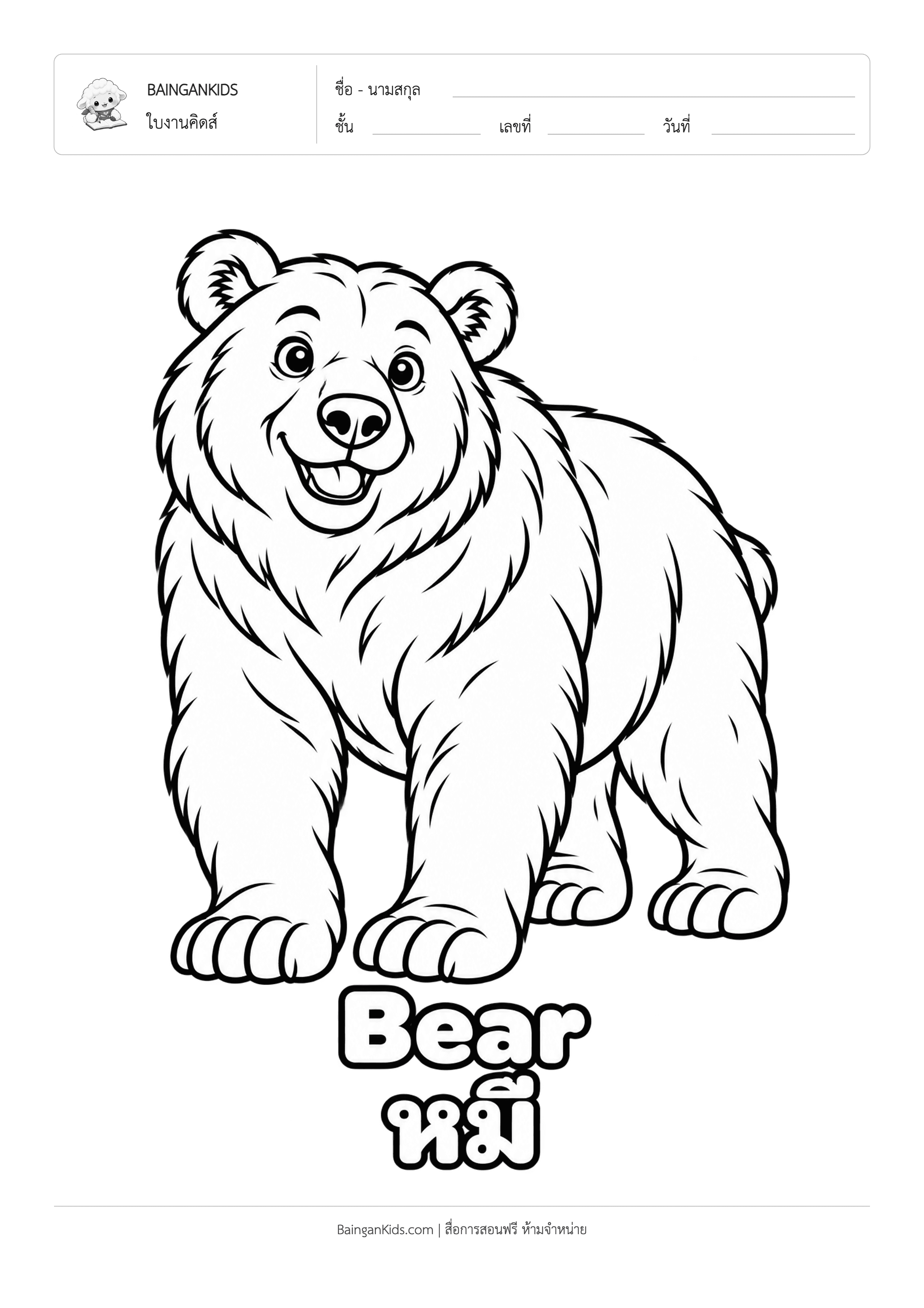 ปก ระบายสี หมี (Bear)