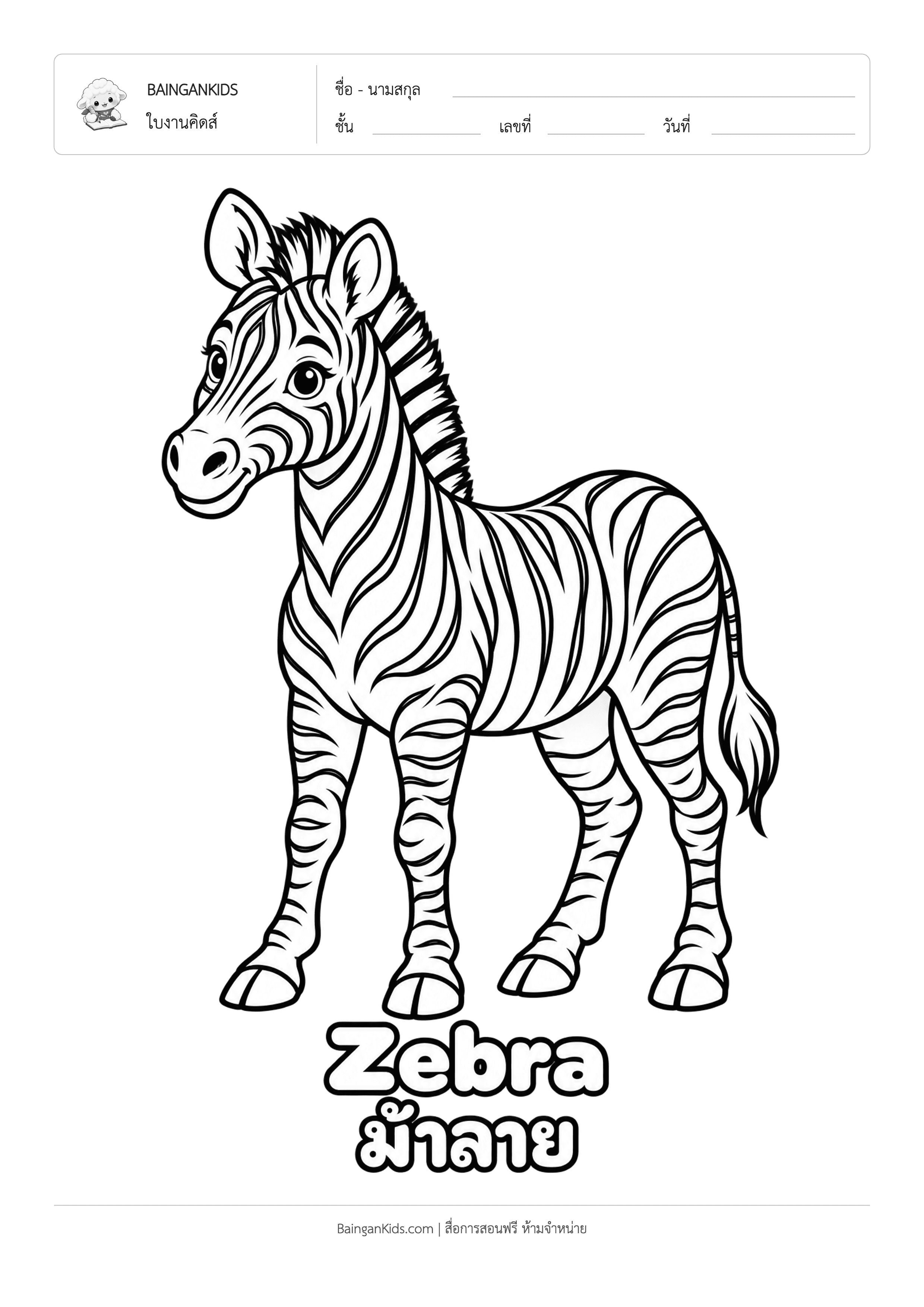 ปก ระบายสี ม้าลาย (Zebra)
